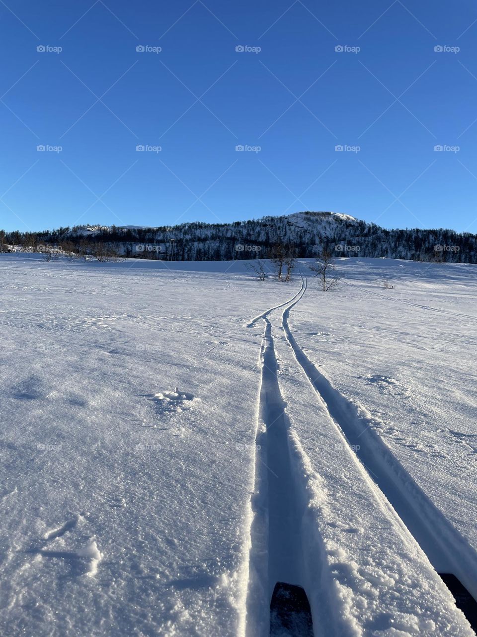 Skiing in the Norwegian mountains