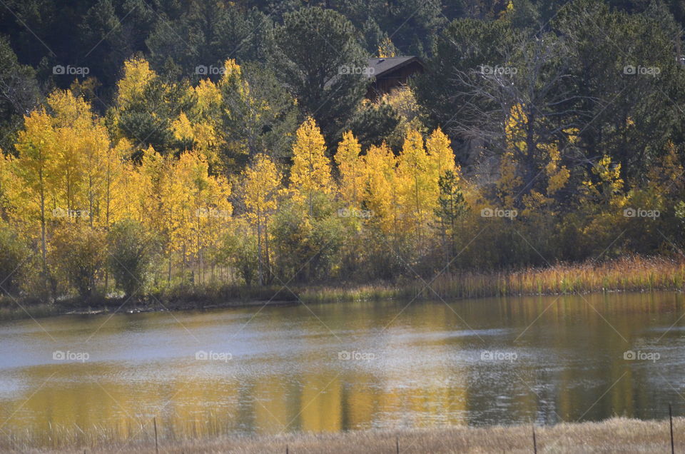 Aspen Lake