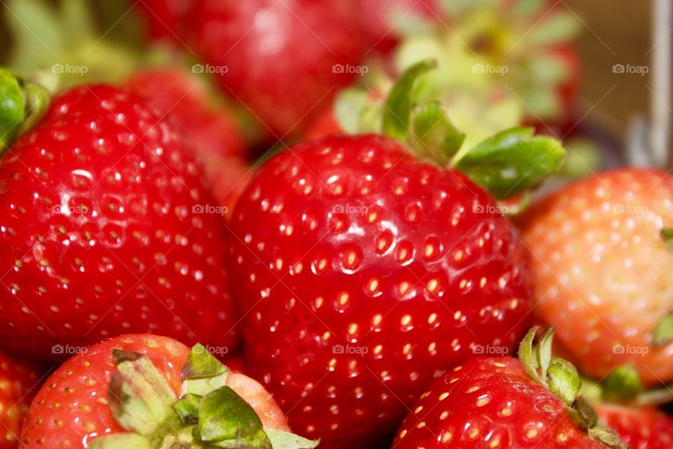 Close-up of red strawberries