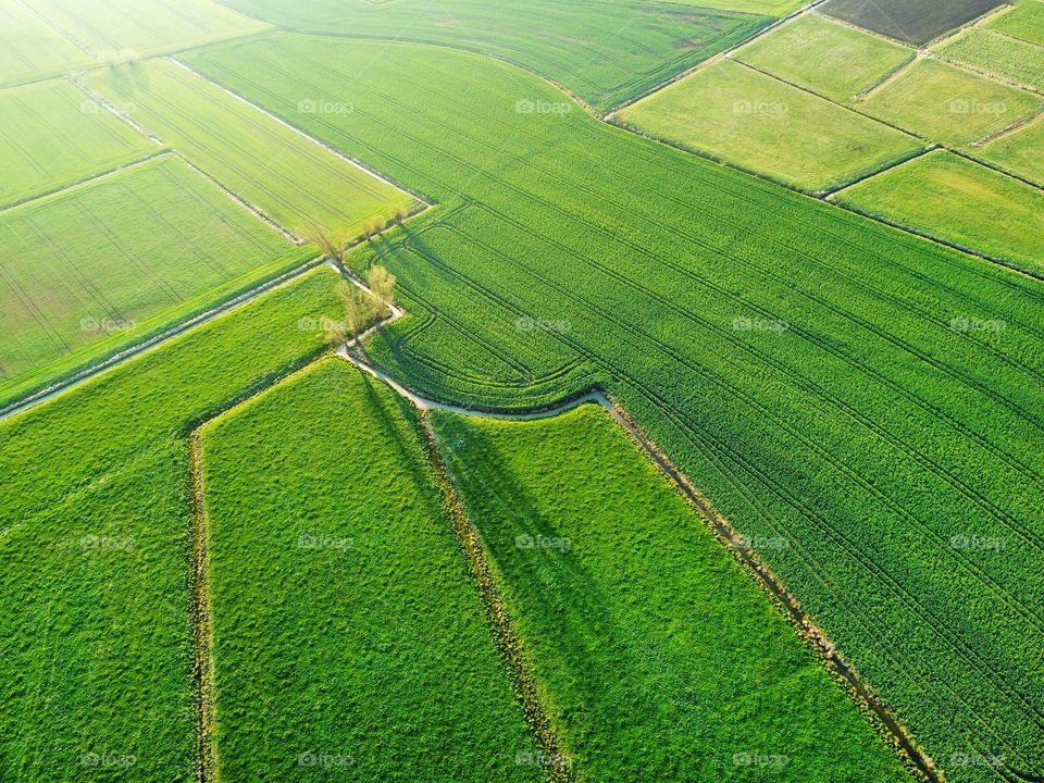 Aerial view of a spring field 