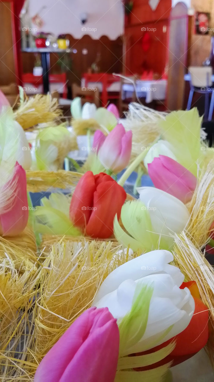 tulips. flowers decoration