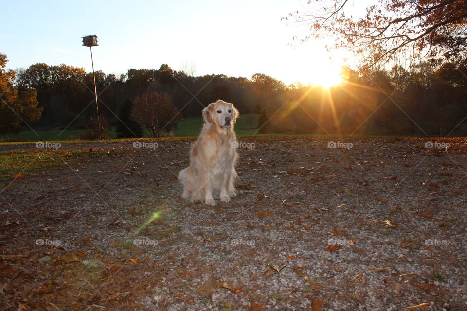 an early sunset on a fall day in November
