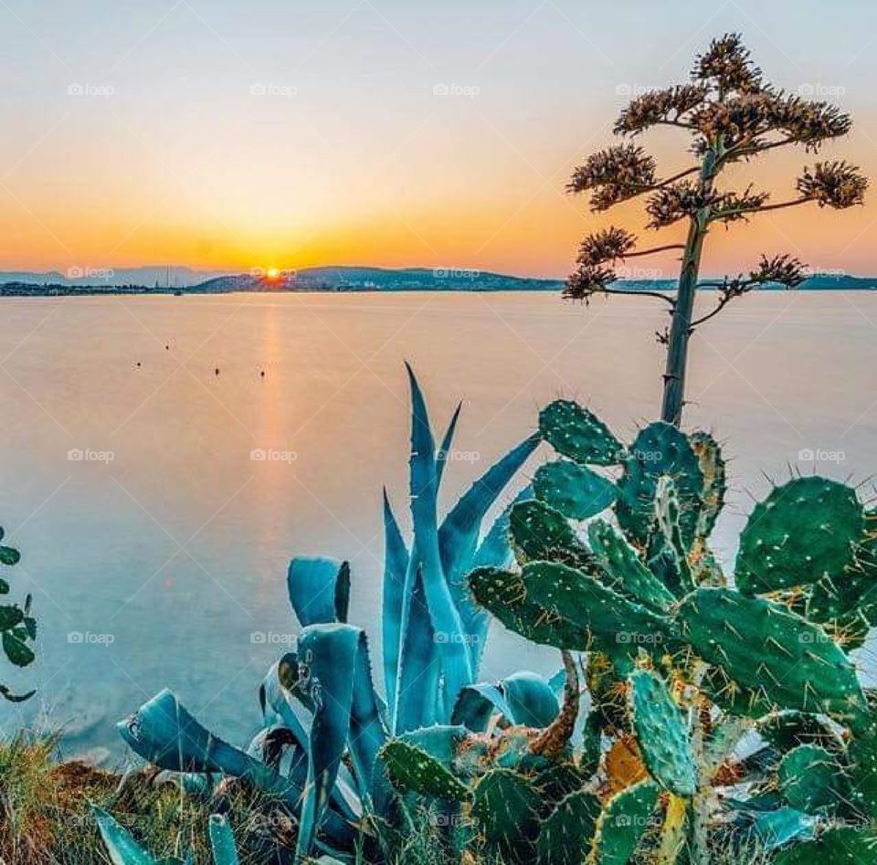 Split city from croatia