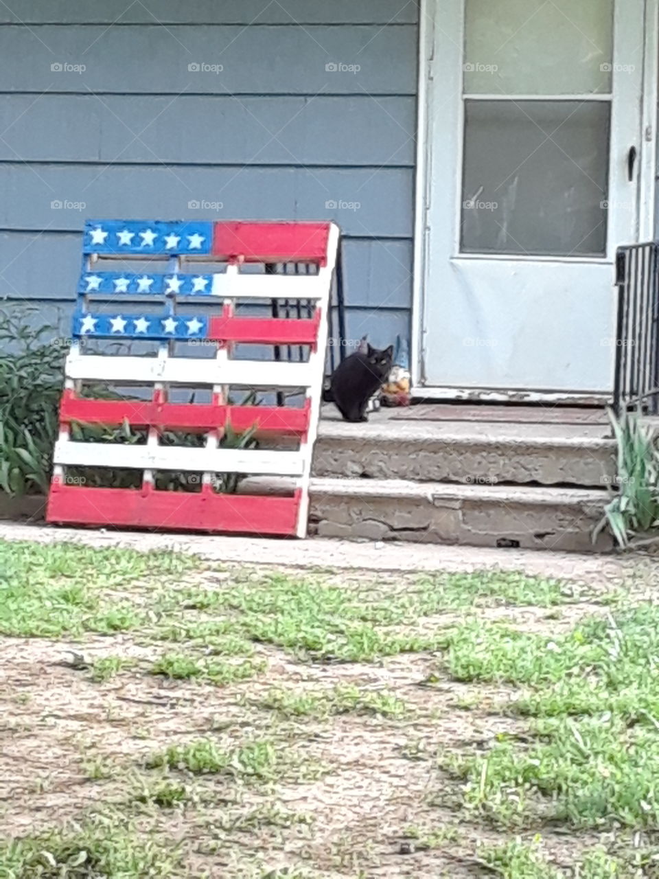 Folk Art American Flag with a Black Cat