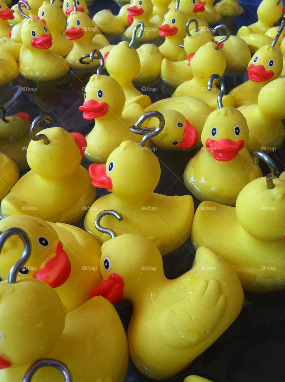 Rubber ducks