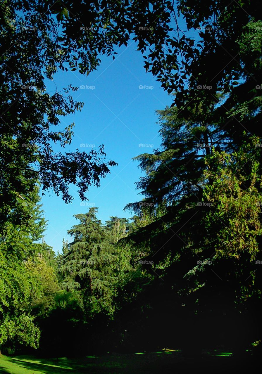 Bluesky. Bluesky after the storm