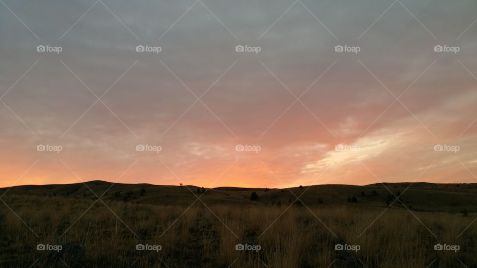 Scenic view of landscape