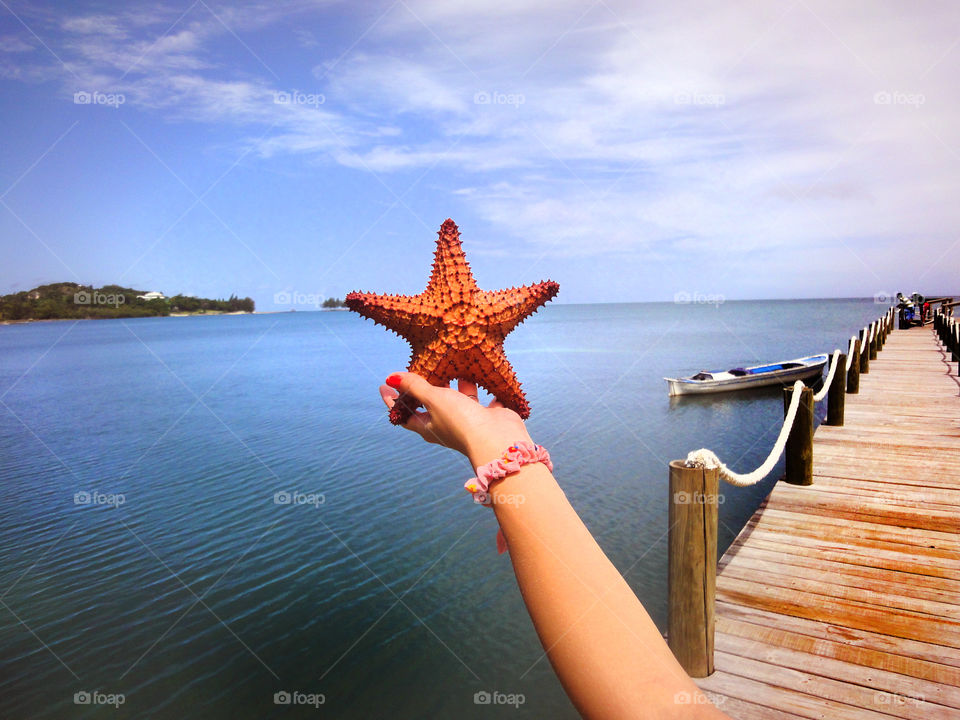 Person holding star fish
