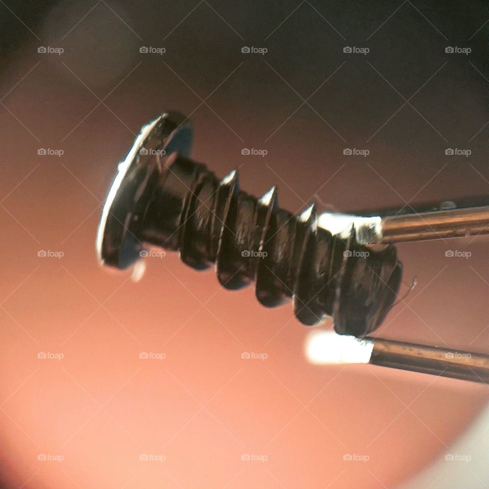 Close-up of a screw