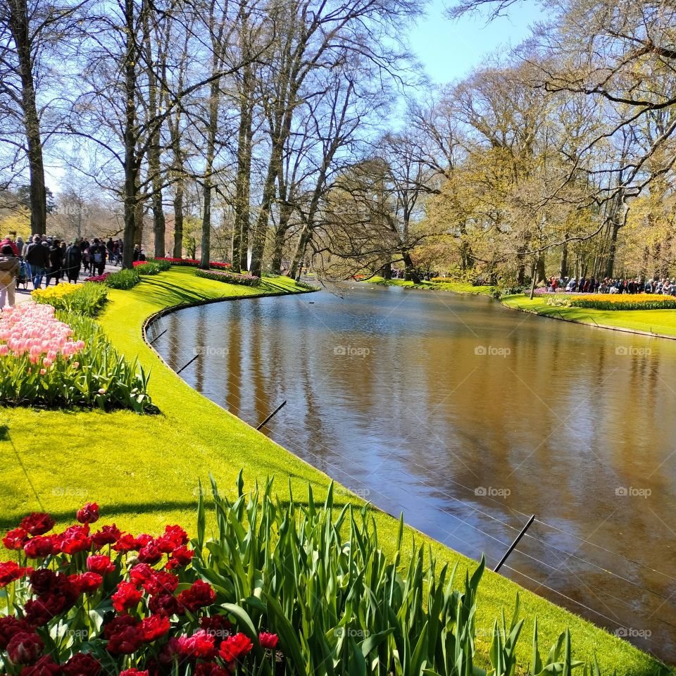 Meadows with Canals