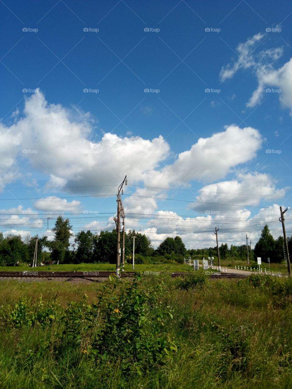 привода России