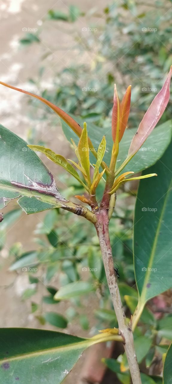 the new life begins on spring season