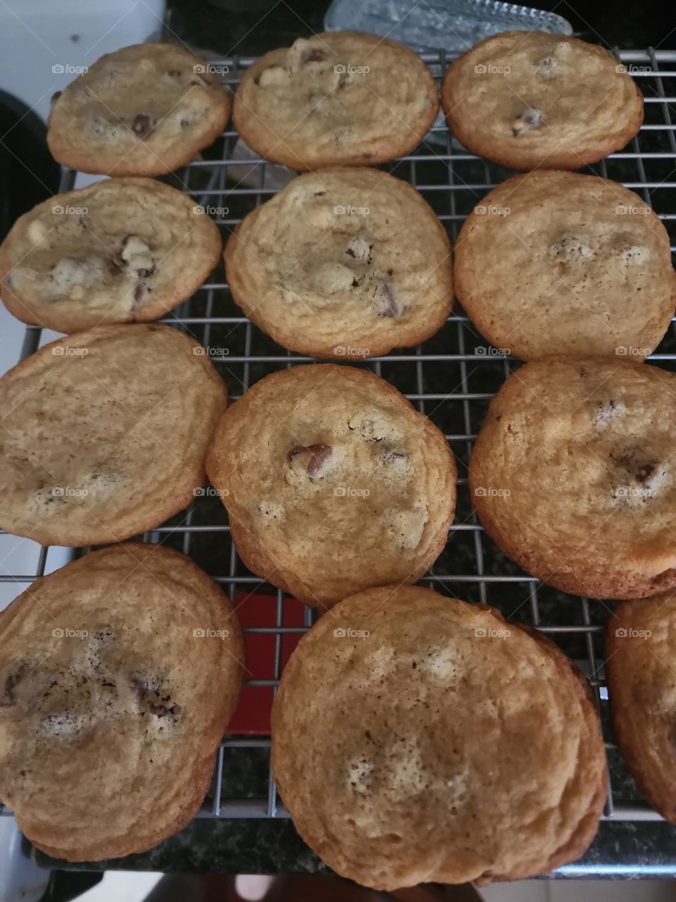cookies hot out of the oven