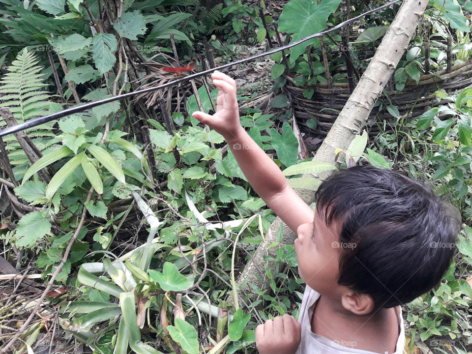 Child trying to catch Dragonfly.