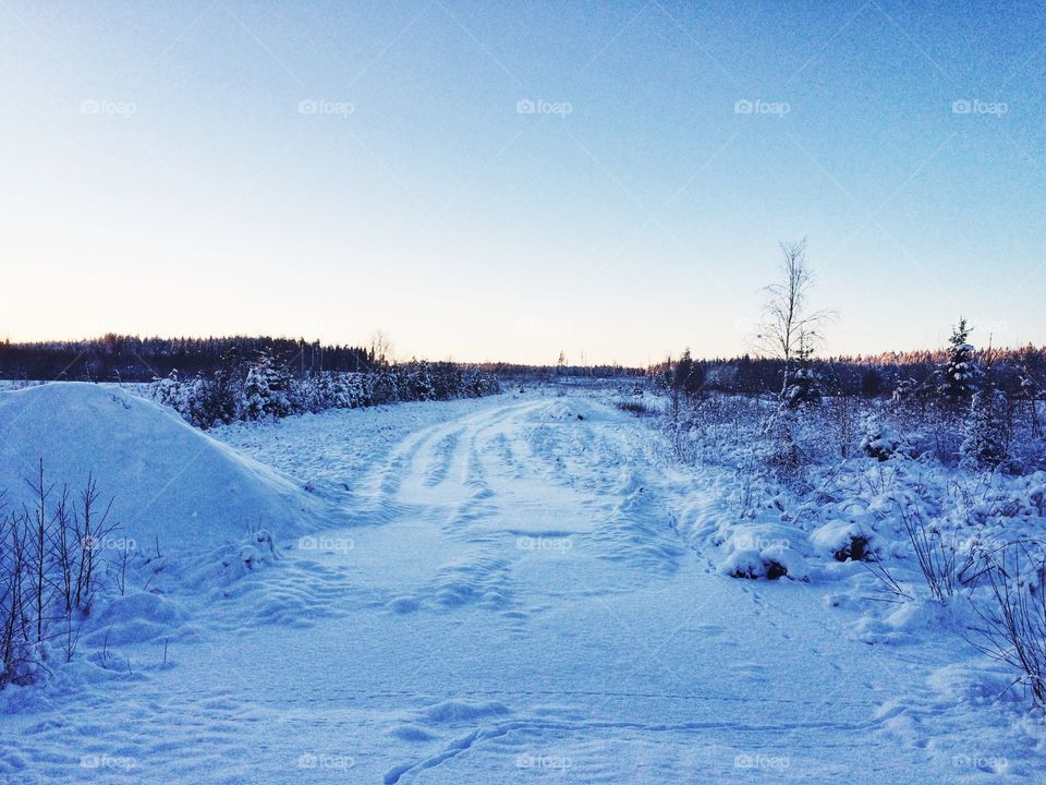 Winter, Snow, Cold, Frost, Frozen