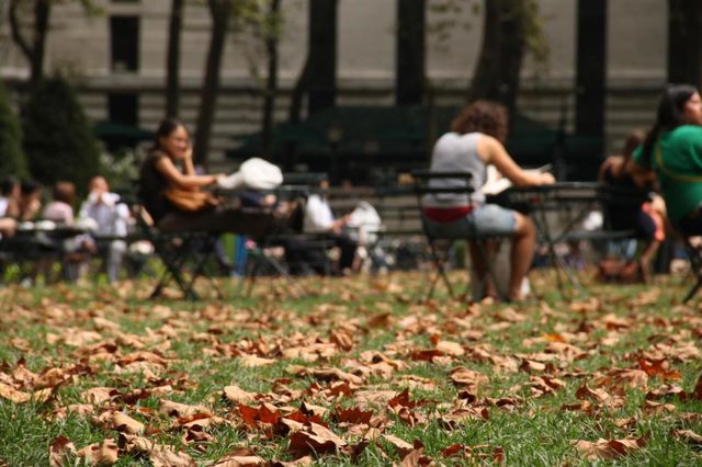 park at NYC
