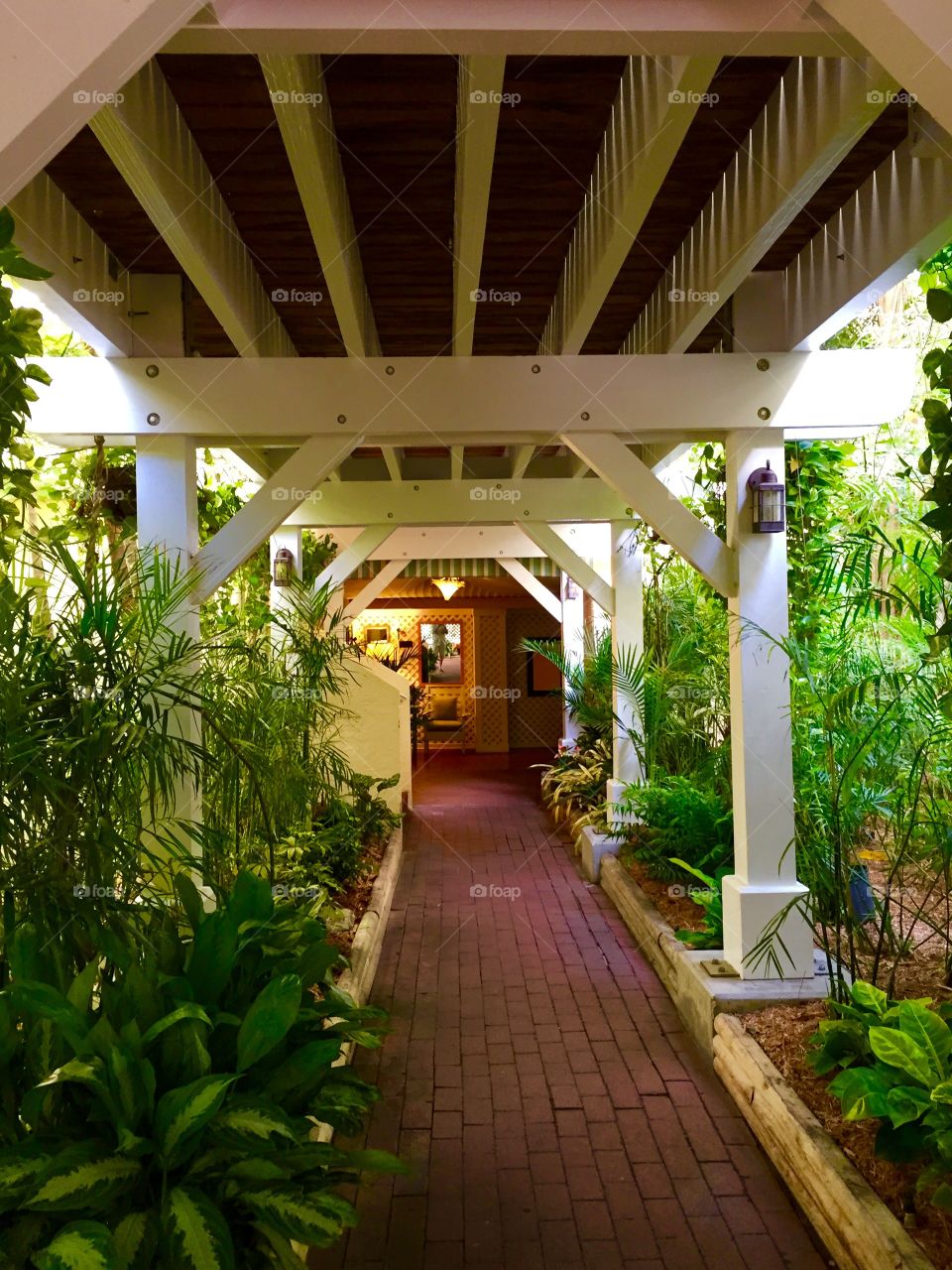 Garden path 