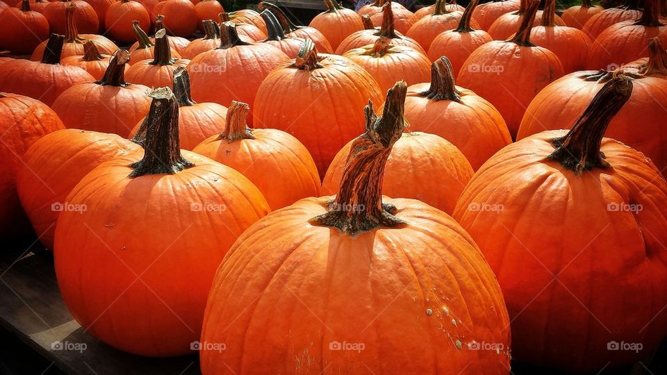 Pumpkins