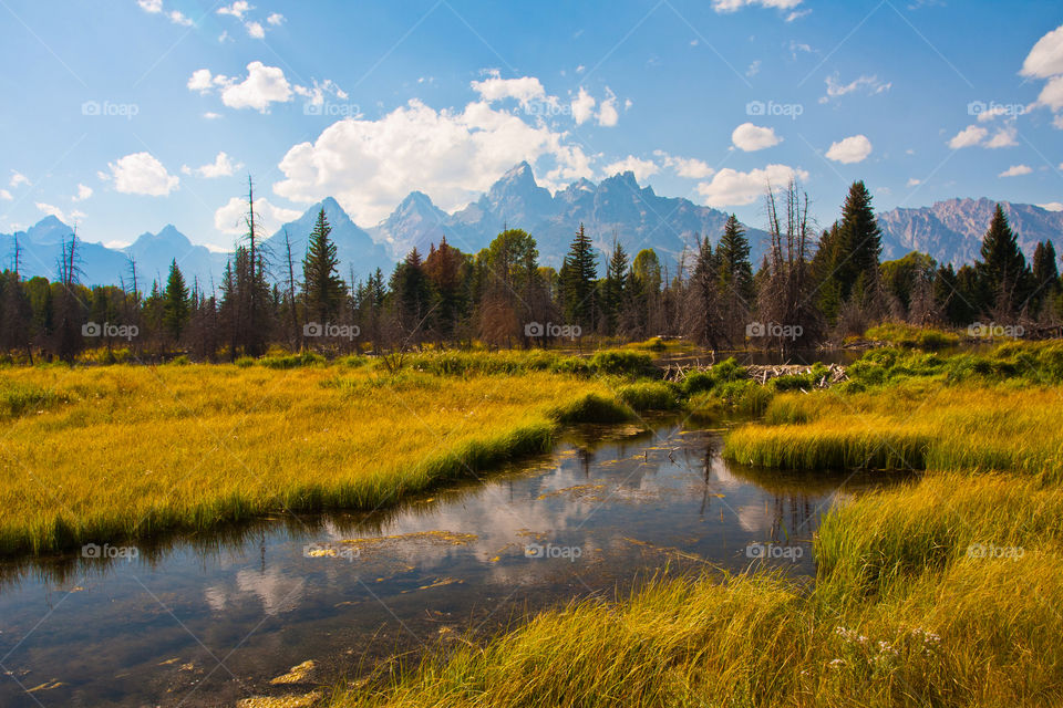 Teton mountain in grand Teton national park