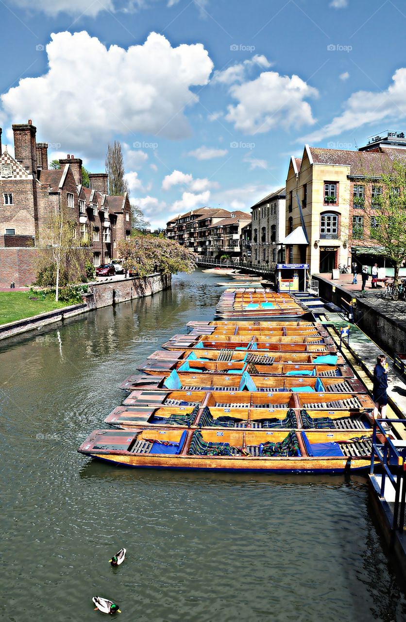 Punting in Cambridge 