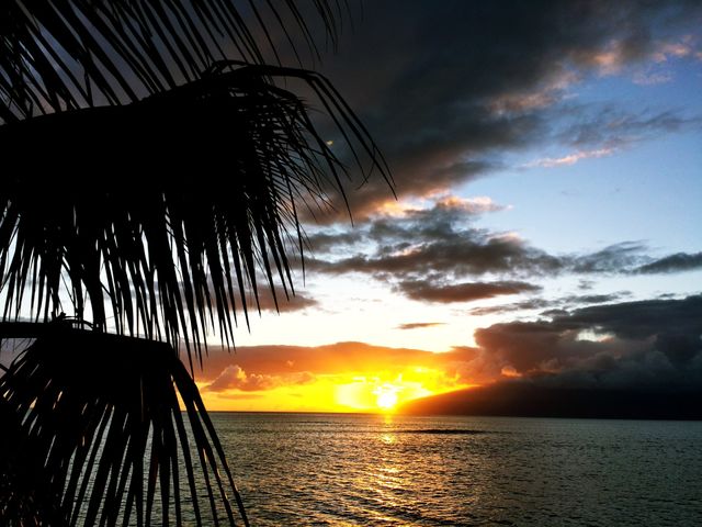 Sunset. Sunset