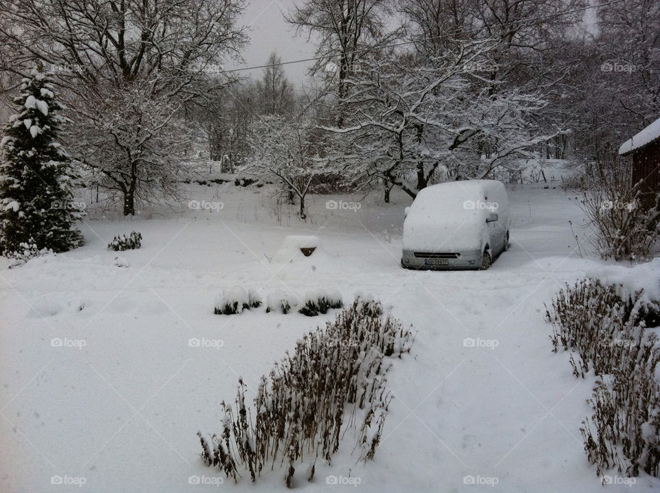 snow winter car christmas by greirik