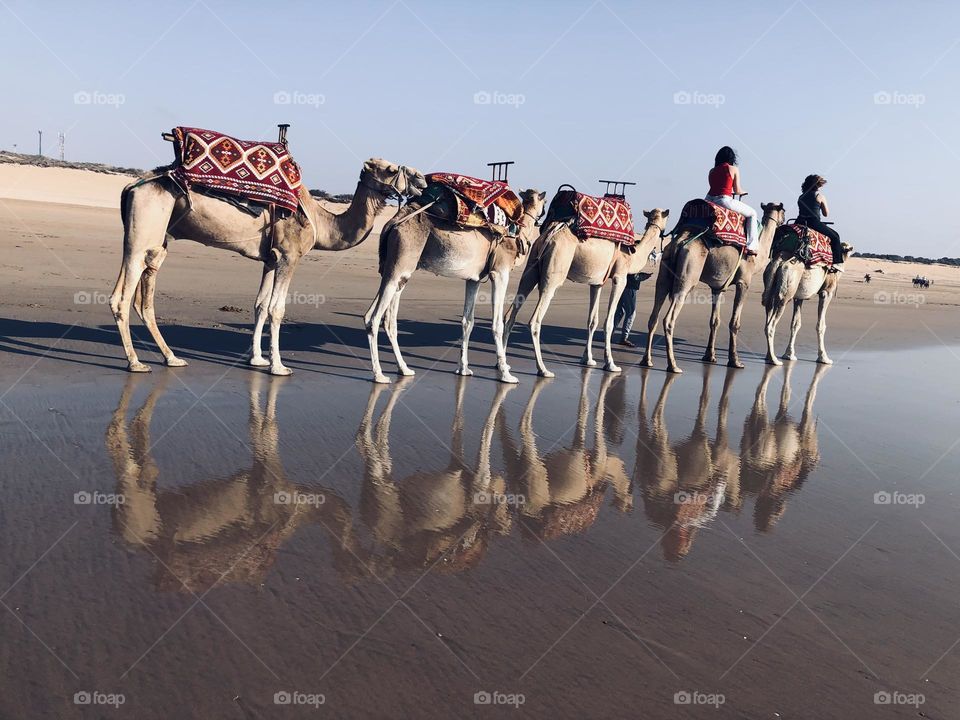 Beautiful caravan near a beach in summer at essaouira city in morocco 