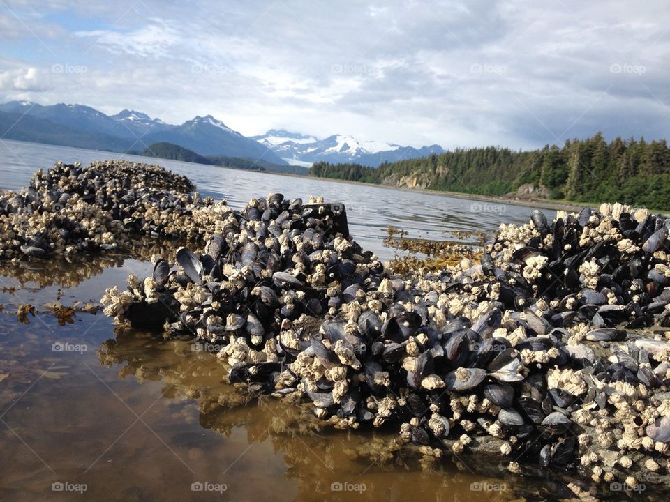 Juneau Beach