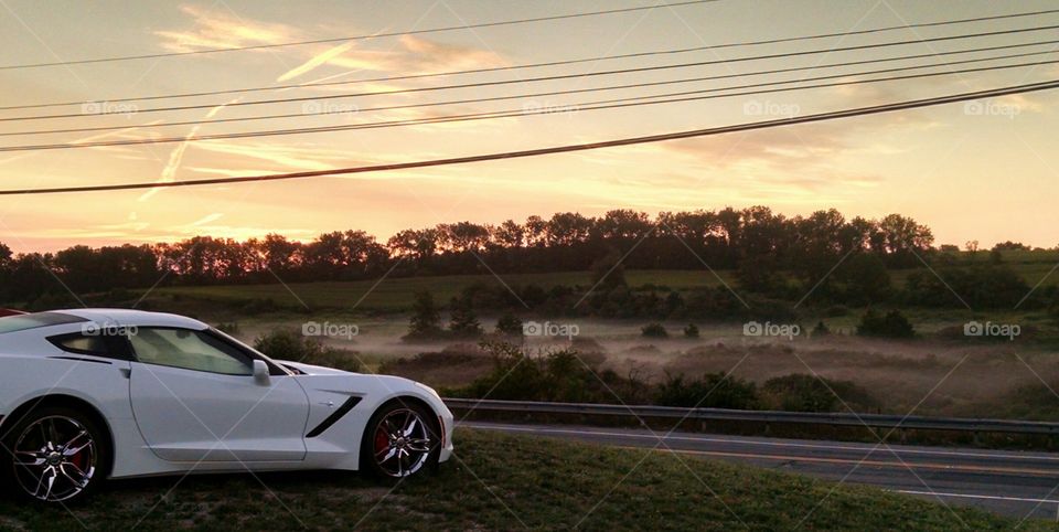 Foggy Sunrise. I took this pic in New Jersey in September 2015, that is fog in the bushes.