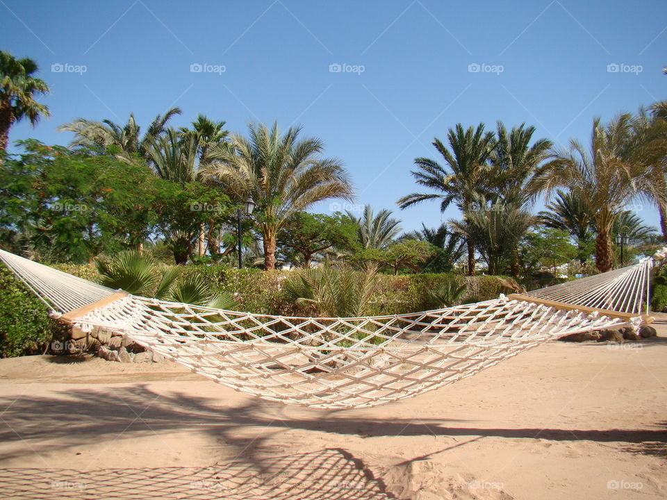 Relaxing rest in a hammock