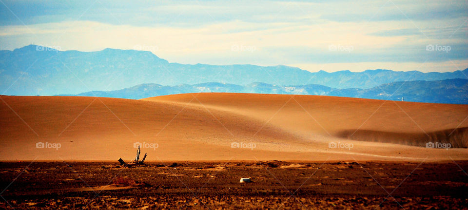 desert . travessin around the world