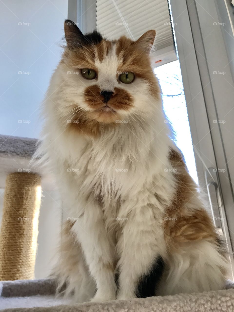 Sitting on her throne 