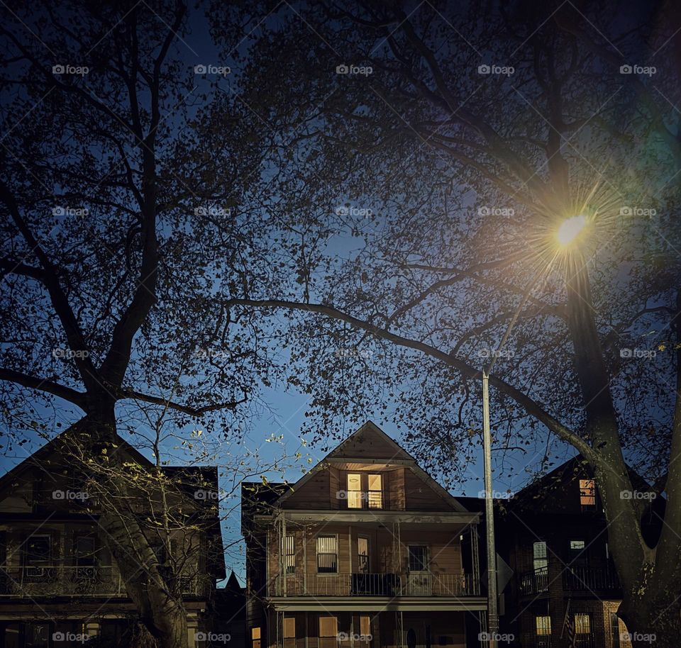 Lighted windows in houses under a streetlight and tree branches at night 