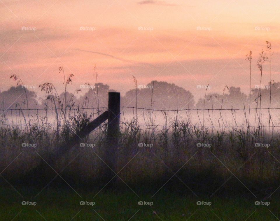 mist on rural field at sunset