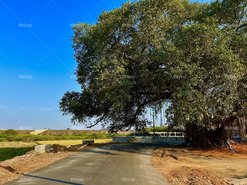 Nature photography - Long path 