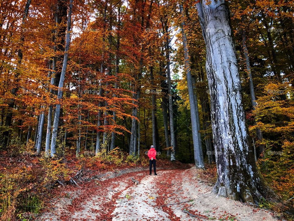 Hiking in Fall