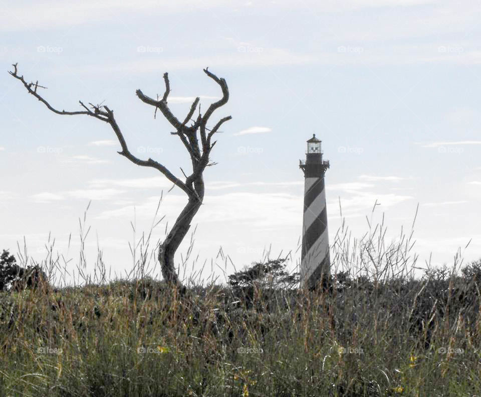 Cape Hatteras lighthouse. lighthouse view from the shore