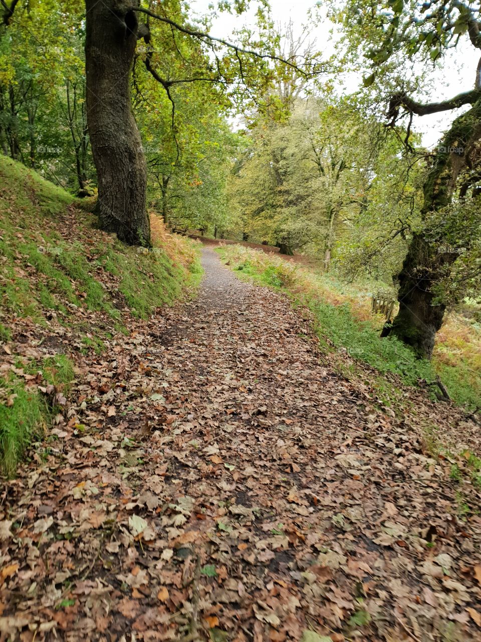 "Life is a short enough walk, try not ruffle to many leaves" - Welsh Weather