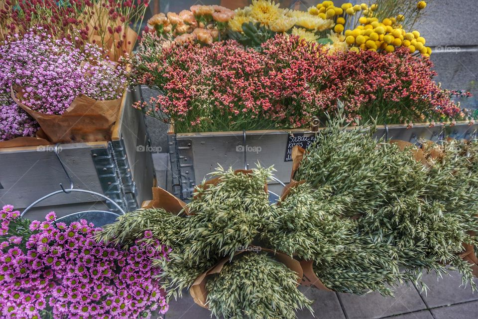 Flower Market