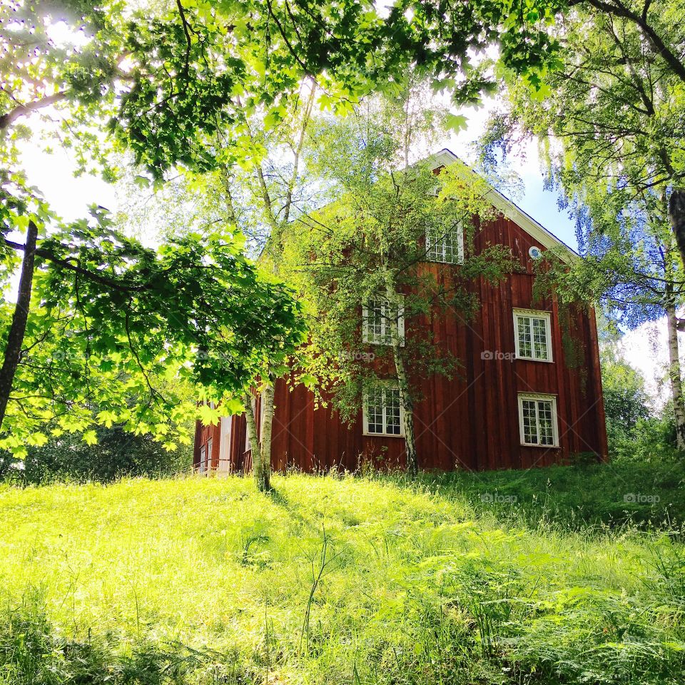 Summer at the cottage