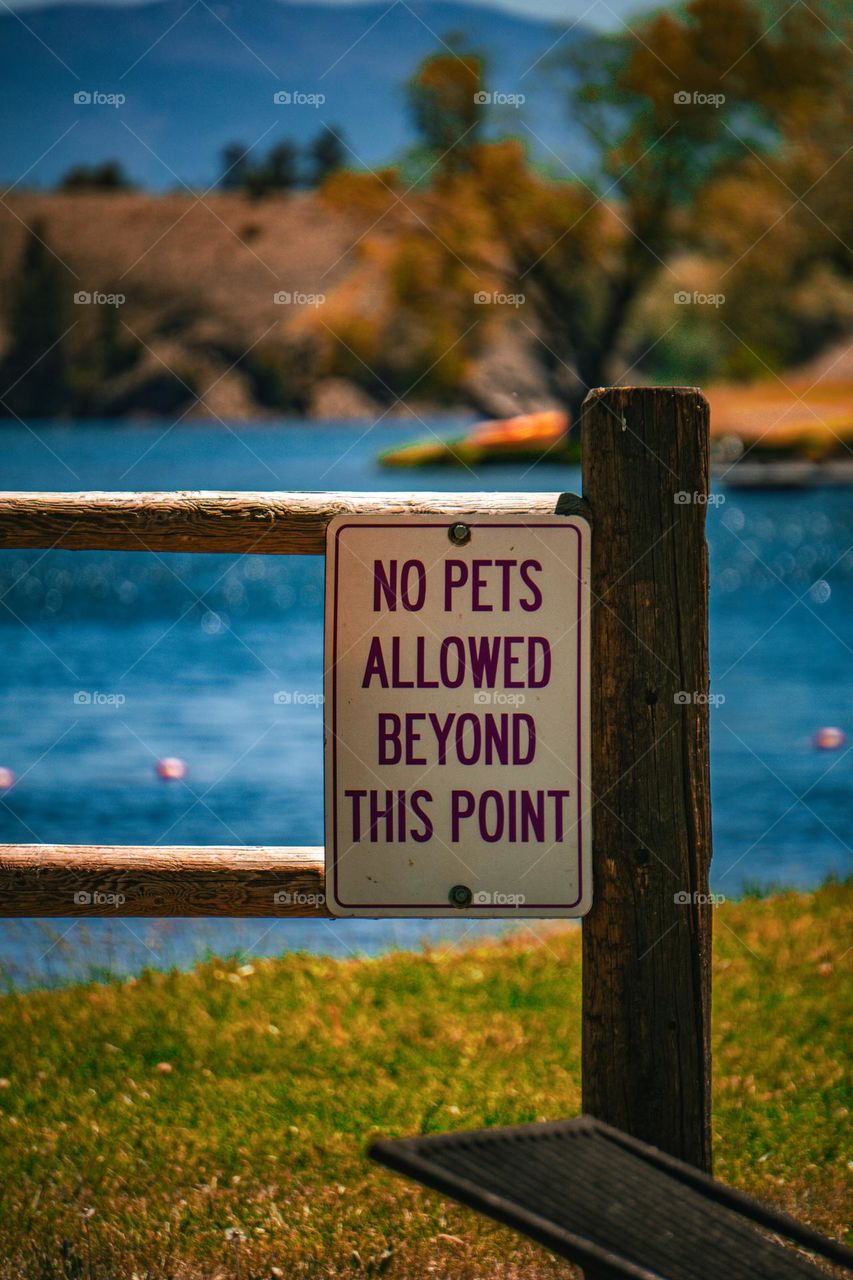 No pets allowed beyond this point