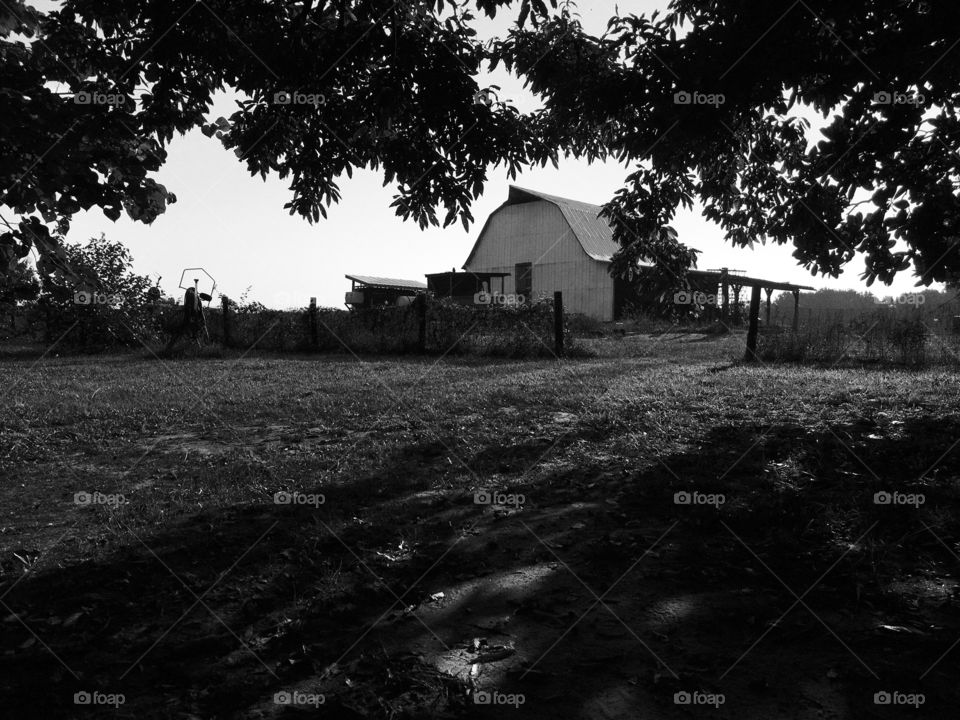 Black and white photo of a barn on the farm.