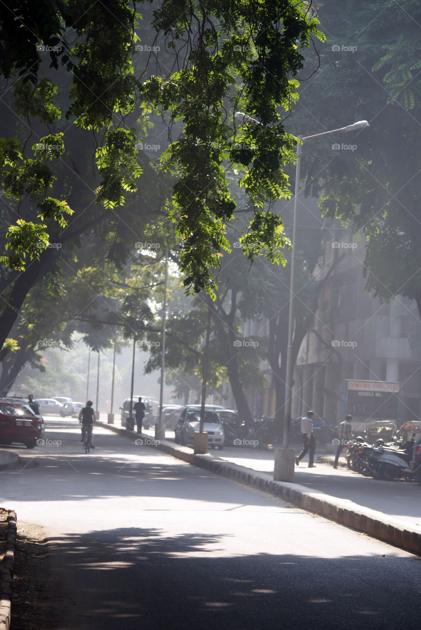 Light, to capture it and how to capture it, is the beauty of art.