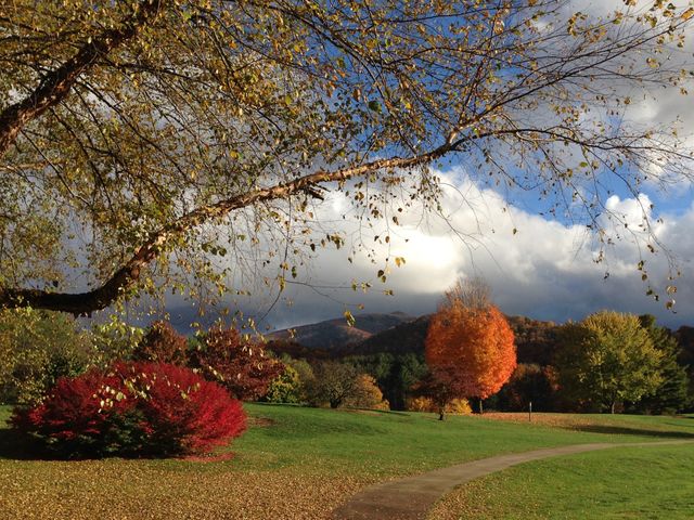 Beautiful view autumn trees near park