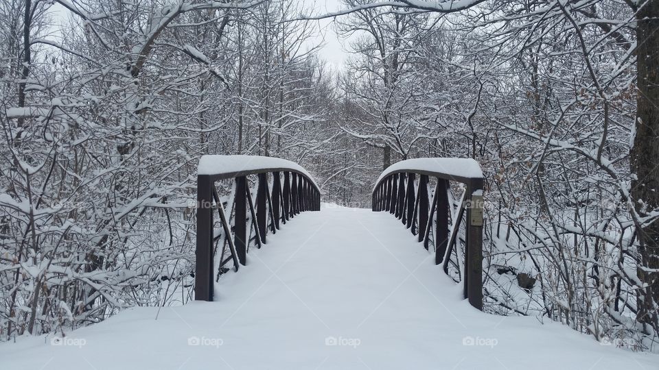 walk bridge