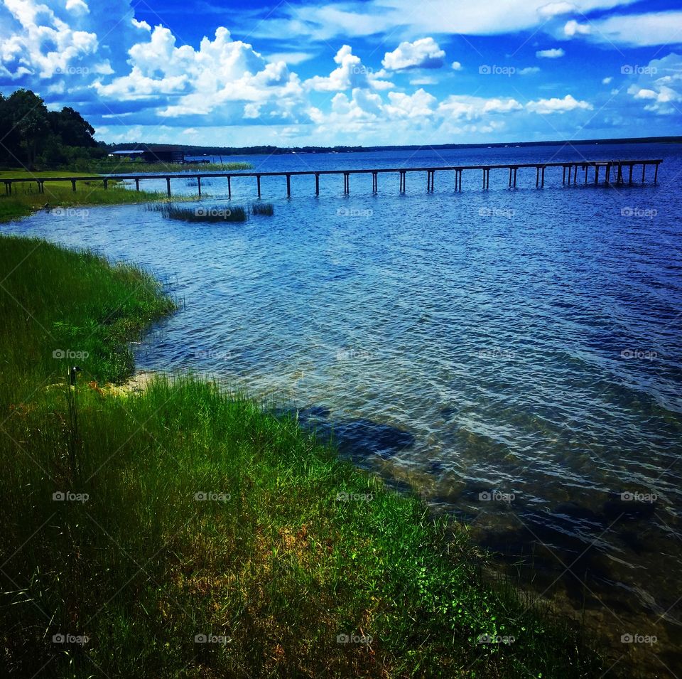 Amrit Yoga Institute, Florida