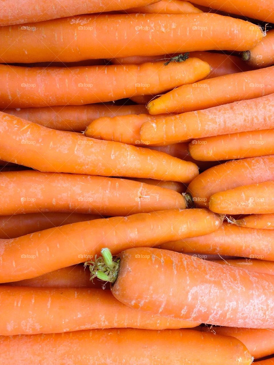 Full frame shot of carrots