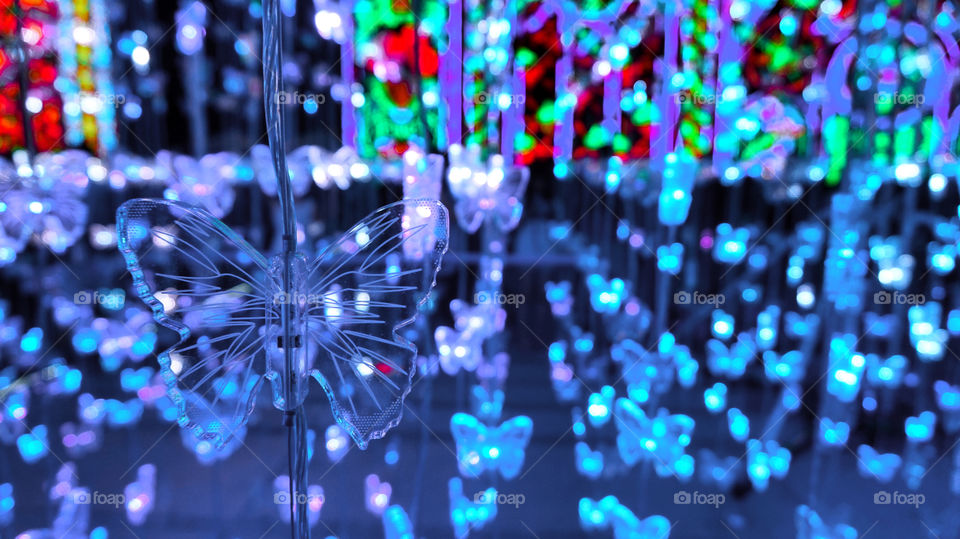 Butterfly light New Year Eve 