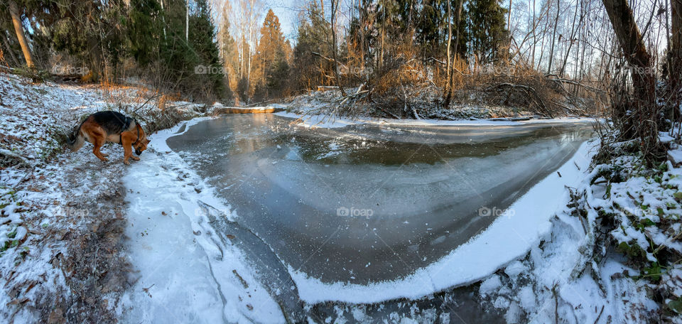 Winter landscape at sunny cold day