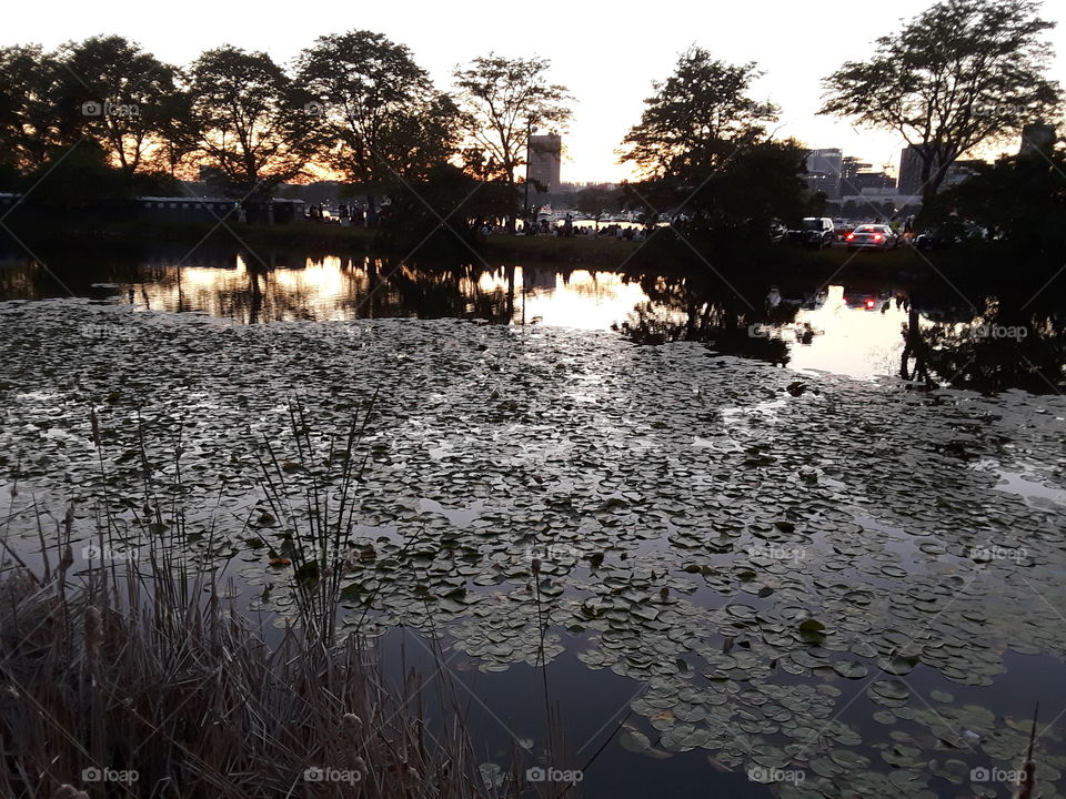 Sunset at the Esplanada Charles River Boston MA